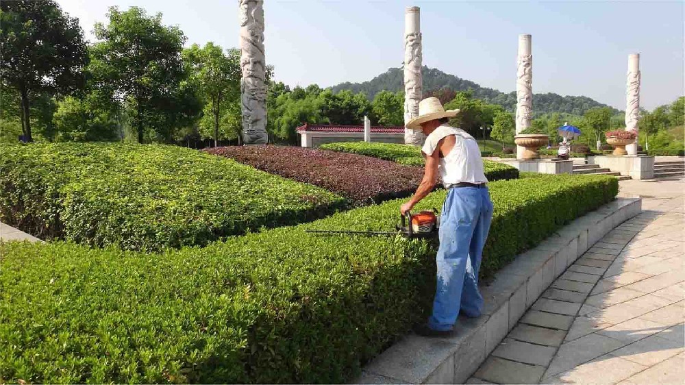 上海公園景觀養護