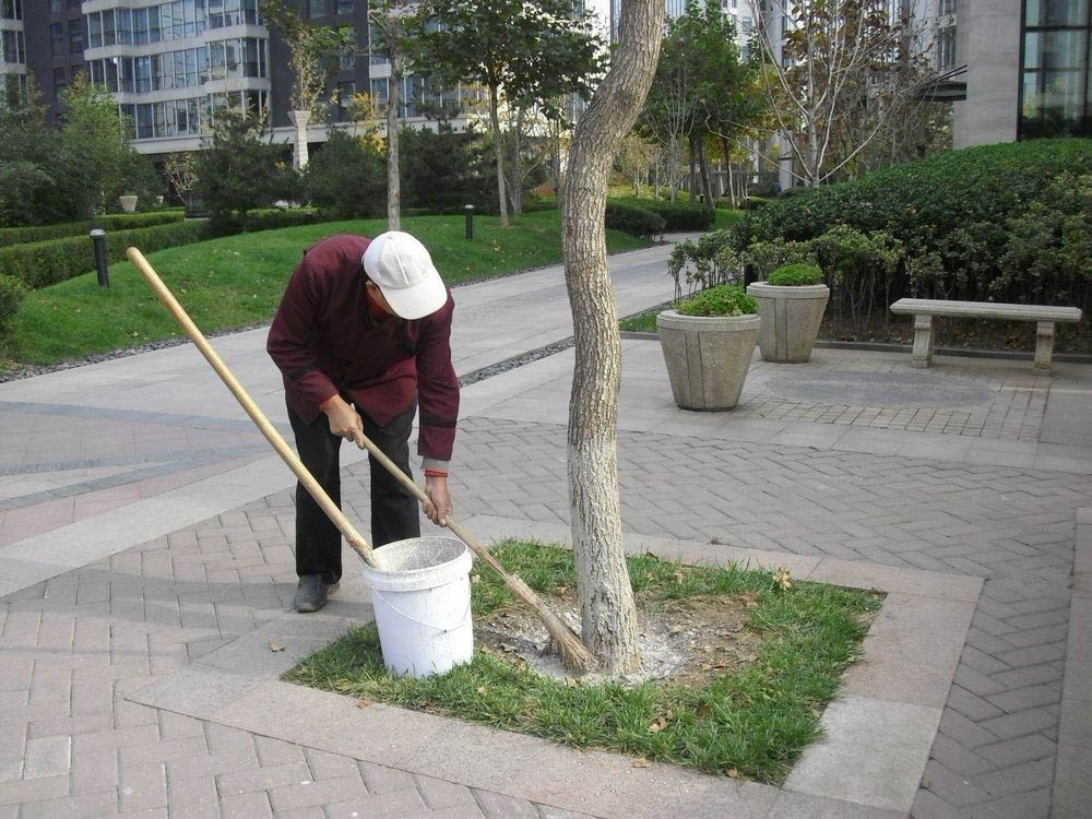 上海小區景觀養護工程